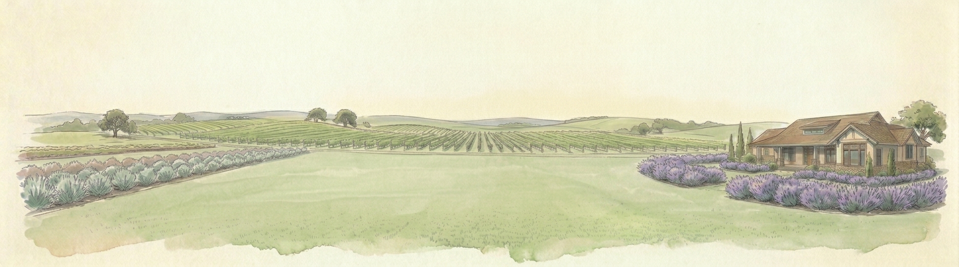 Sonoma watercolor landscape